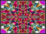 scgIMG_0364w2