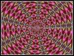 scgIMG_0396-k07