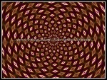 scgIMG_0396-k15