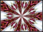 scgIMG_0397-k03