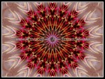 scgIMG_0397-k06