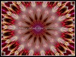 scgIMG_0397-k11