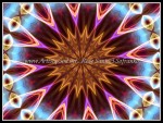 scgIMG_0397-k12