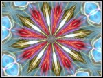 scgIMG_0397-k16
