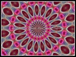 scgIMG_0397-k18