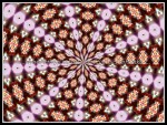 scgIMG_0400-k10
