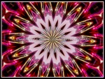 scgIMG_0400-k11