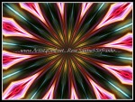 scgIMG_0400-k12