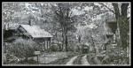 scgIMG_1883