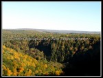 scgIMG_3533 Letchworth State Park 50