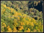 scgIMG_3542 Letchworth State Park 45