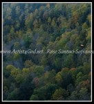 scgIMG_3559 Letchworth State Park 38