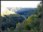 scgIMG_3563 Letchworth State Park 36