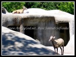 scgIMG_7064