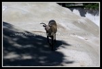 scgIMG_7065