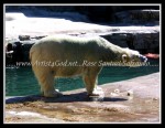 scgIMG_7097