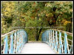 A-B25 - Green Lake
