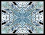 scgIMG_9136-w12