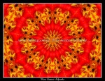 scgNasturtiumKaleidoscope