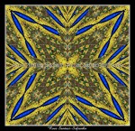 scgPeacockk26e