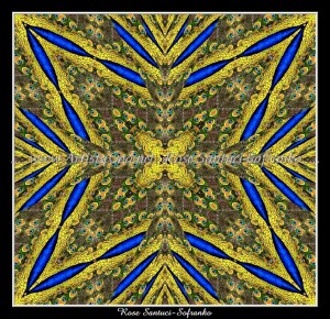 scgPeacockk26e