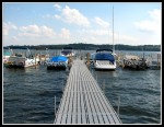 scgRose 026 A-P09 - Chatauqua Lake