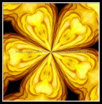 scgb-IMG_6378-k17