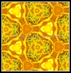 scgb-IMG_6378k6