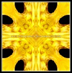 scgb-IMG_6378w1