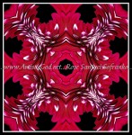 scgbIMG_4349w12-8