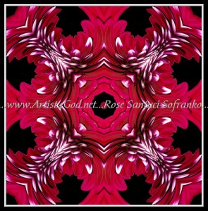 scgbIMG_4349w12-8