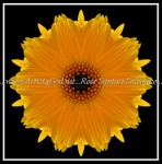 scgbIMG_6495-kfd