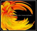 scgblk_5328W2