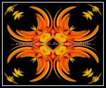 scgblk_5328W3