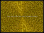 scgfbIMG_1844-k09
