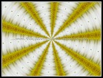 scgfbIMG_1844-k10