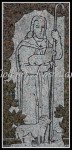 scgxIMG_0756